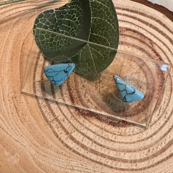 Turquoise Howlite Stud Earrings - Picture 1 of 3
